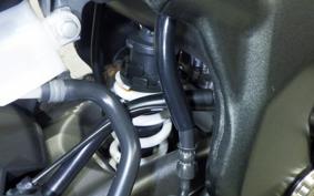 HONDA CBR250RR A MC51