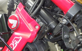 HONDA CT125 HUNTER CUB 2026 JA55