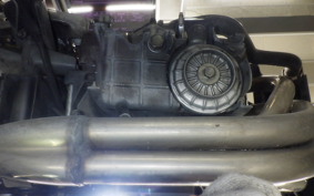 HONDA HORNET 250 2010 MC31