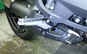 BMW R1300GS 2024