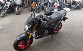 KAWASAKI Z125 PRO BR125H