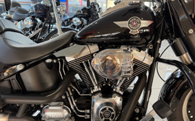 HARLEY FLSTFB 2010 JN5