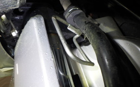 HONDA LEAD 110 1999 JF19
