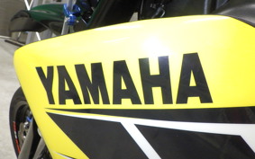 YAMAHA WR250X DG15J