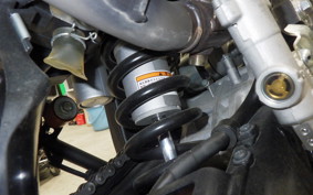 YAMAHA WR250X 2025 DG15J