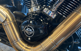 HARLEY FLFB 2025 YF9