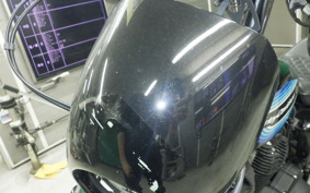 HARLEY XL1200NS 2018