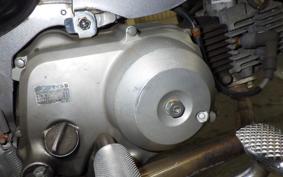 HONDA LITTLE CUB 2018 AA01