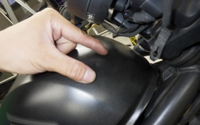 HONDA REBEL 250 S 2019 MC49