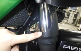 KAWASAKI VERSYS 250 A LE250D