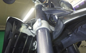 YAMAHA WR250X 2004 DG15J