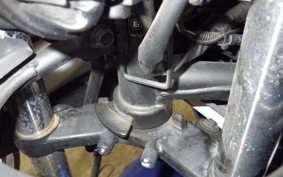 KAWASAKI NINJA 250 EX250L