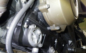 HUSQVARNA スバルトピレン801 2024