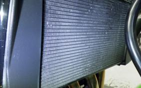 KAWASAKI ZRX1200 D 2017 ZRT20D