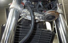 HONDA HORNET 250 2023 MC31