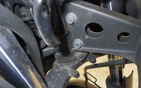 KAWASAKI NINJA 250R 2020 EX250K