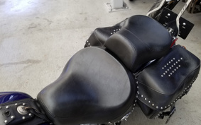 HARLEY FLSTC 2006 BJY