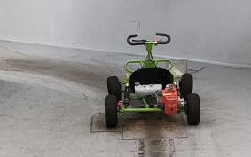 OTHER  BUGGY 50CC ..