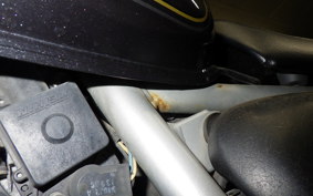 SUZUKI ST250E 1996 NJ4CA