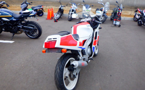 YAMAHA FZR250R-1 3LN