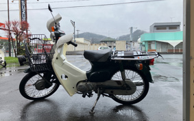 HONDA SUPER CUB50 C50