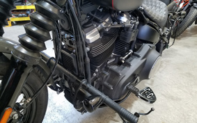 HARLEY FXBB 2019 YJJ