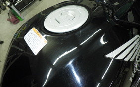 HONDA CBR250R GEN 3 MC41