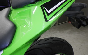 KAWASAKI NINJA 250 EX250L