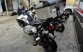 TRIUMPH TIGER 1200 RALLY PRO 2024 TAP20V