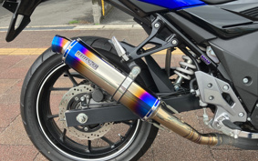 SUZUKI GSX250R DN11A