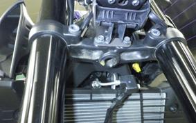 YAMAHA MT-25 A 2015 RG95J