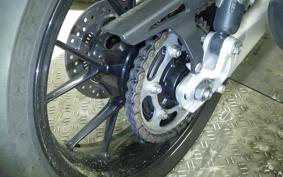 TRIUMPH SPEED TWIN 2024