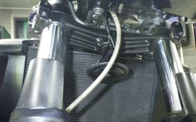 KAWASAKI ZRX1200 D 2015 ZRT20D