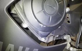 YAMAHA YZF-R25 RG43J