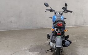 HONDA NAVI110 JF65