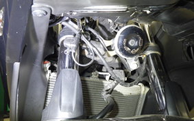 YAMAHA YZF-R3 2019 RH13J