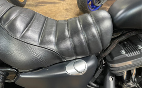 HARLEY XL883N 2018 LE2