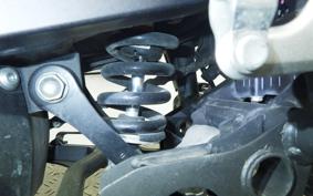 KAWASAKI VERSYS X250 A LE250D