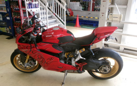 DUCATI 1299PANIGA-RES 2015 ZDMH905JAFB