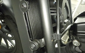 HONDA REBEL 250 A 2024 MC49
