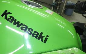 KAWASAKI NINJA 250R 2013 EX250K