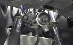 YAMAHA YZF-R25 2006 RG10J