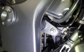 KAWASAKI NINJA 250R EX250K