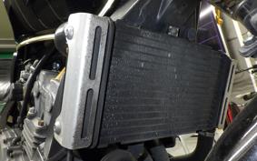 HONDA HORNET 250 2010 MC31