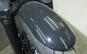 HARLEY XL1200X 2020