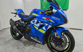 SUZUKI GSX-R1000R 2019 DM11A