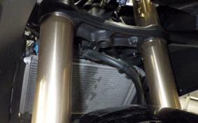 HONDA CBR400R 2024 NC56