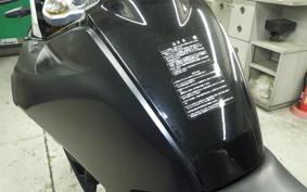 BMW G310GS 2024