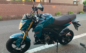 KAWASAKI Z125 PRO BR125H