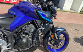 YAMAHA MT-25 RG74J